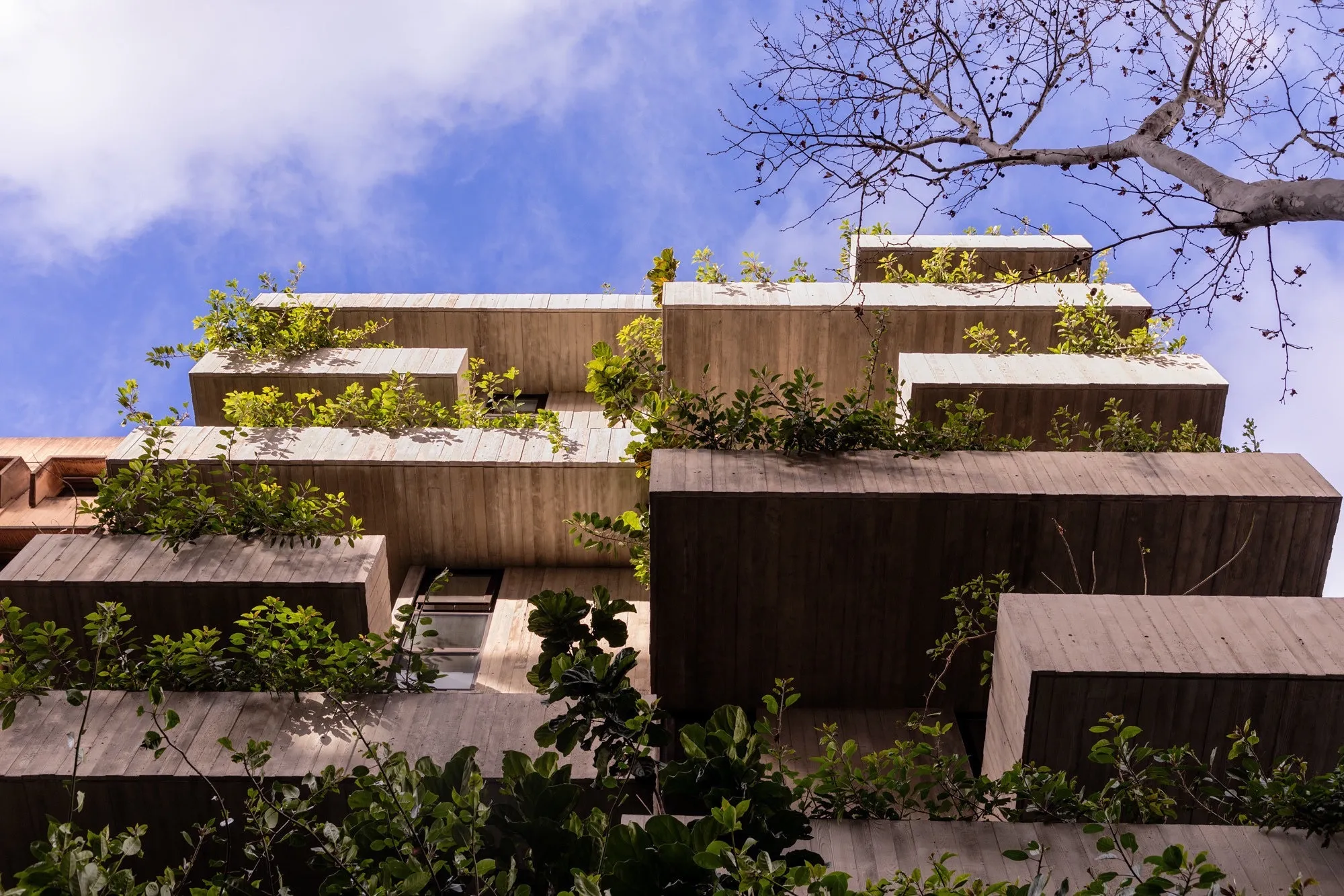 Park Shore (75 Park Lane & 2 Shore Drive)——项目图片